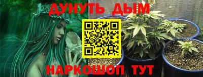 МДПВ Краснознаменск