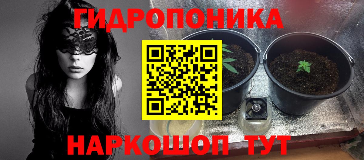 Конопля Amnesia  МАРИХУАНА OG Kush  Вход с VPN  Бошки марихуана семена  Химки 